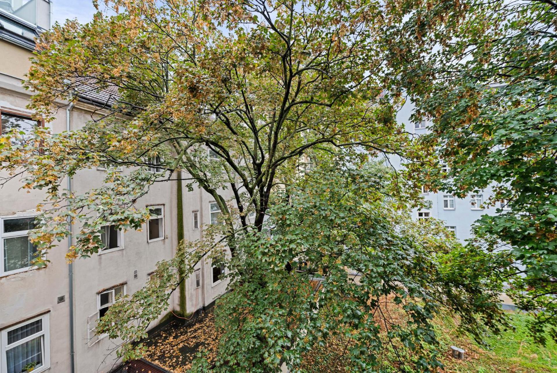 Cozy, Generous City Apartment - 10 Min To City-Centre - Contactless 24H Check-In Vienne Extérieur photo