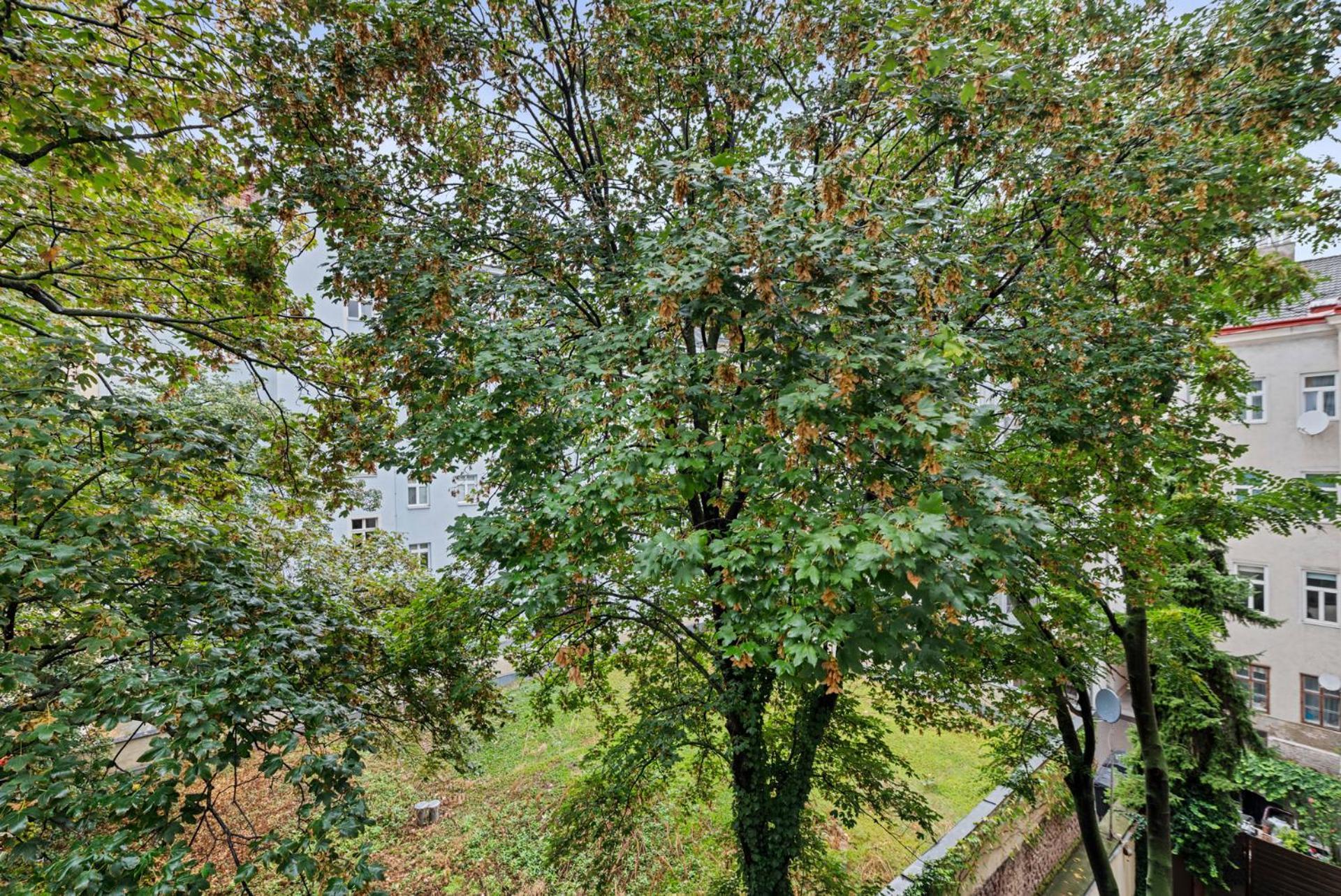 Cozy, Generous City Apartment - 10 Min To City-Centre - Contactless 24H Check-In Vienne Extérieur photo